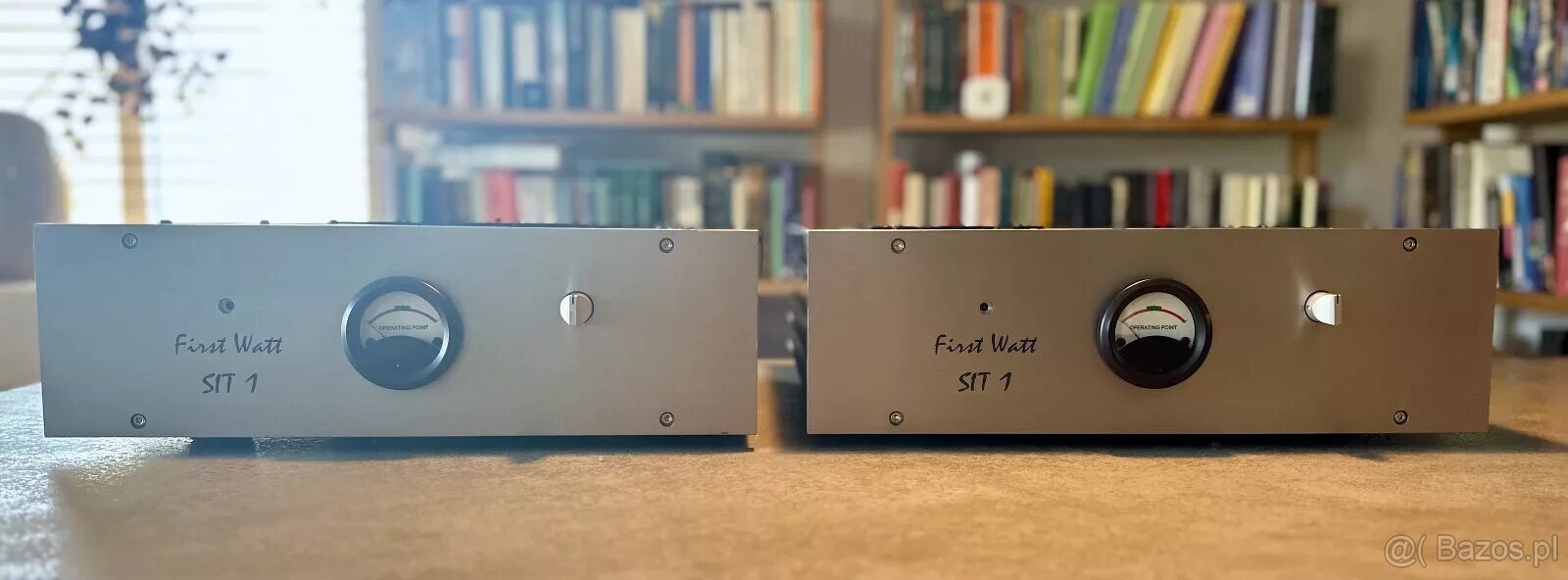 FirstWatt SIT-1 Monoblock - 2500 EURO
