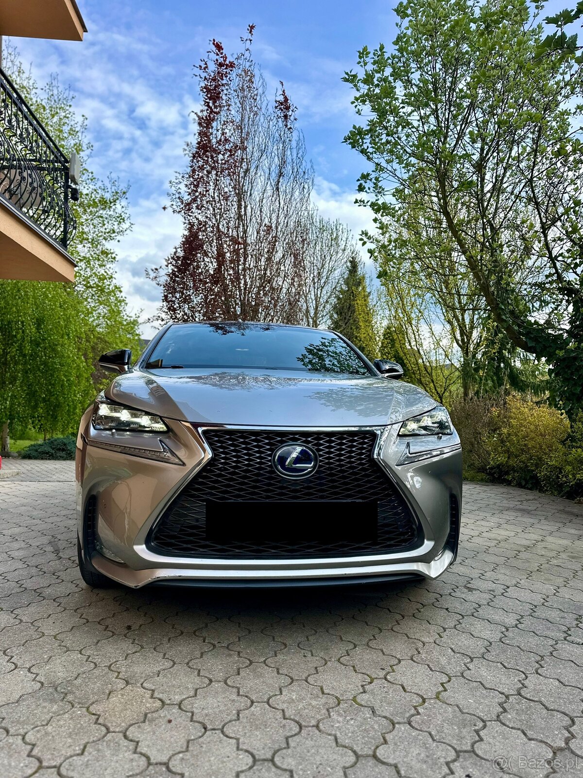 Lexus NX 300h F-SPORT