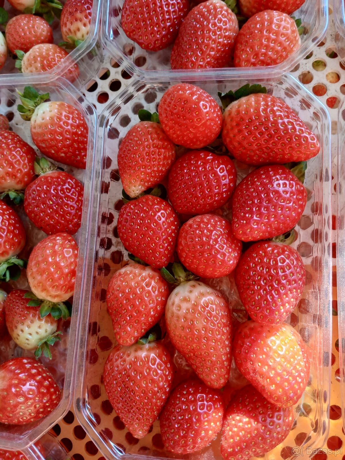 Import owoców i warzyw