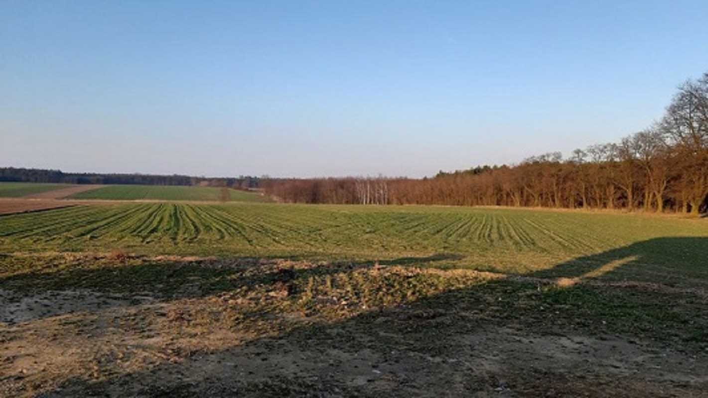 Działki budowlane od 990m2-1121m2, Kamień