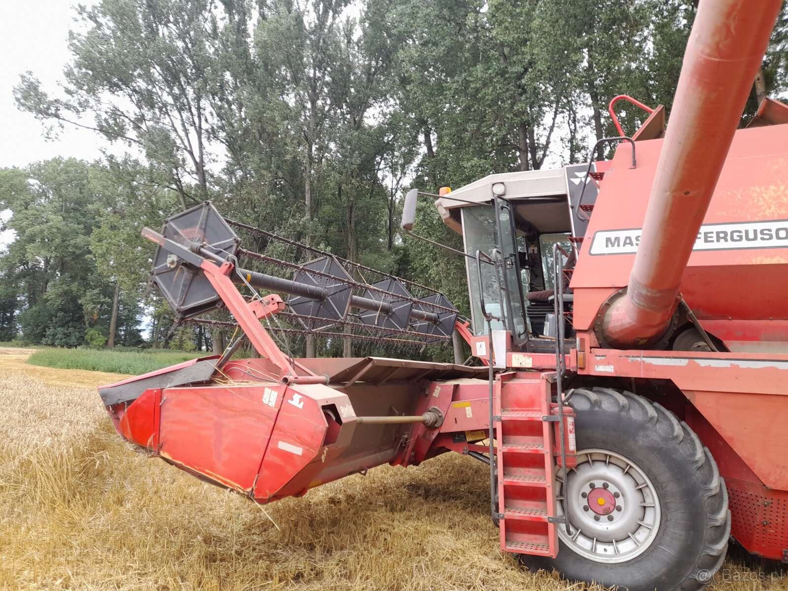 Massey Ferguson 38,sklízecí mlátička