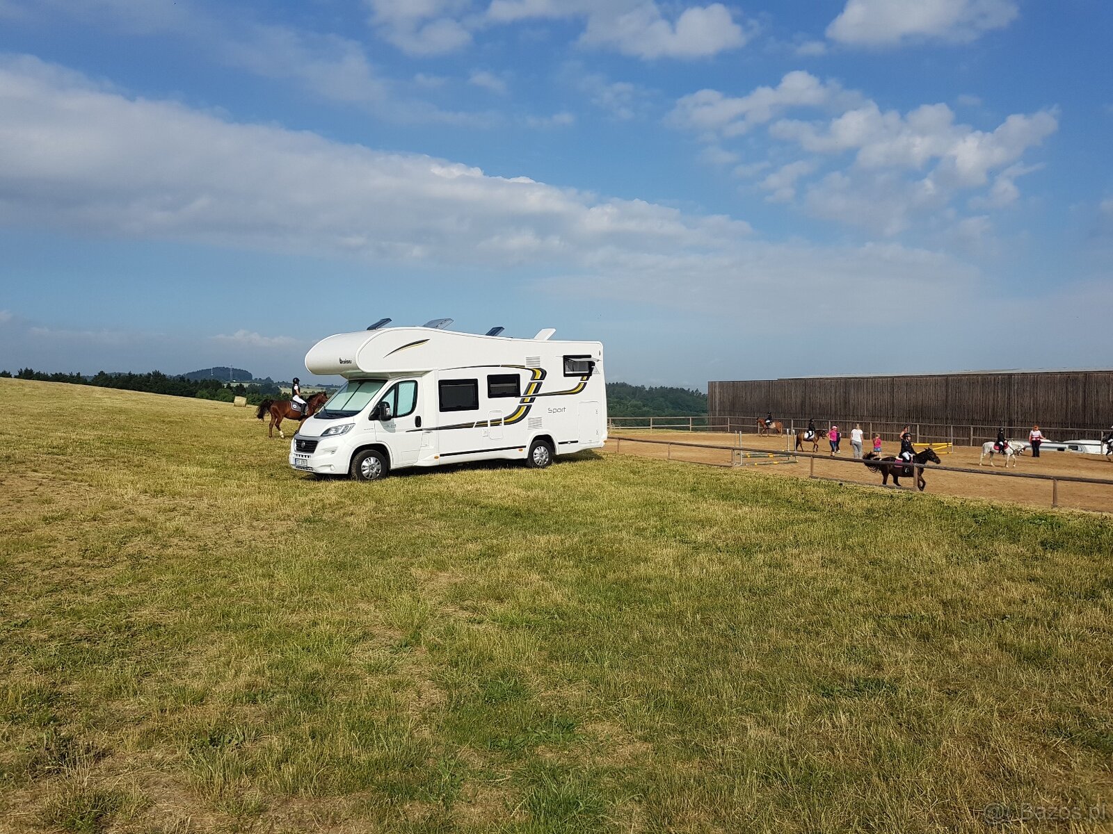 Benimar sport 343