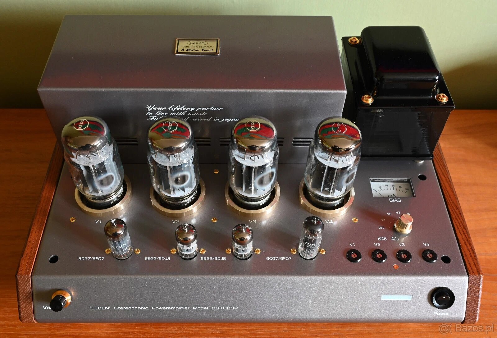 Leben CS-1000P - 2000 EURO