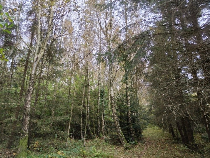 Niezabudowana działka w Kierzkowie, gmina Choczewo, woj. pom