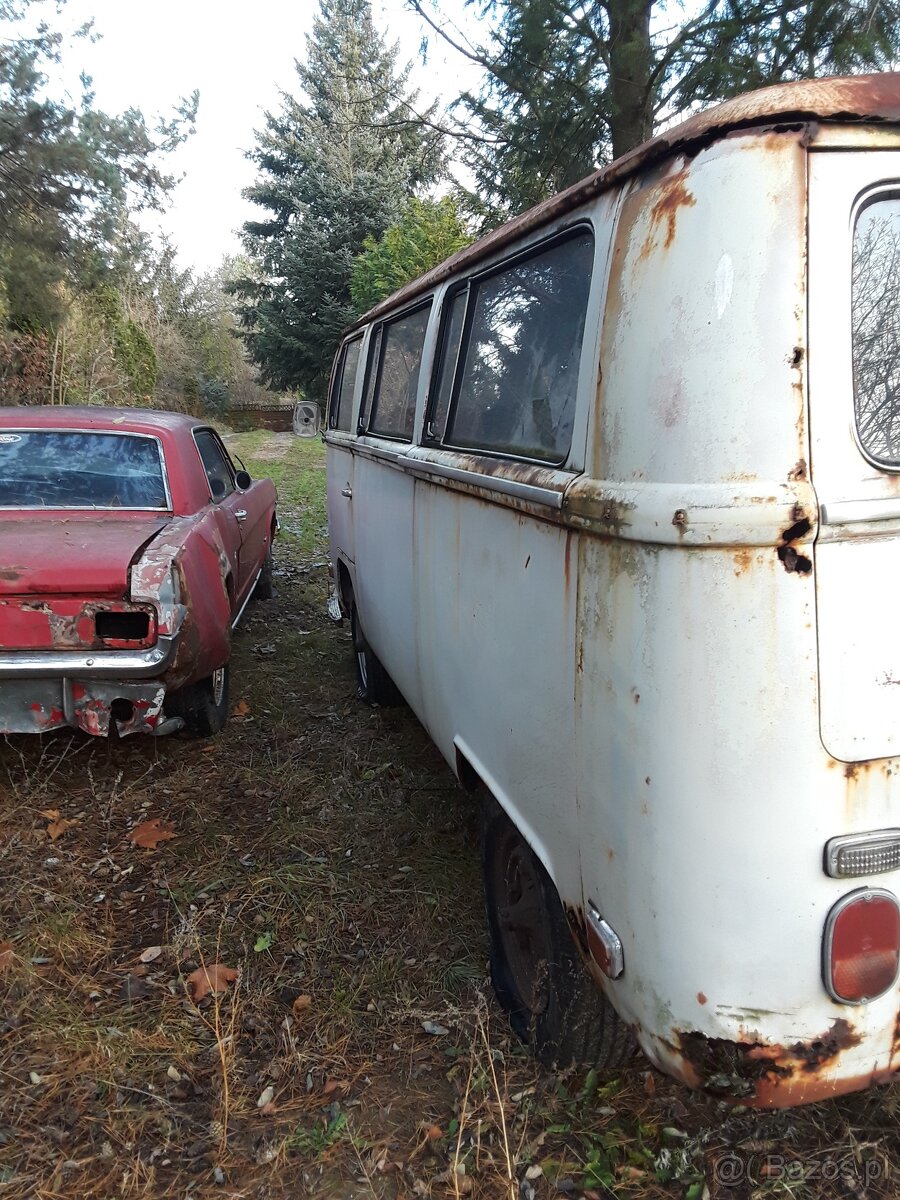 Volkswagen Ogórek, Rolls Royce, Mustang, Volvo, Triumph