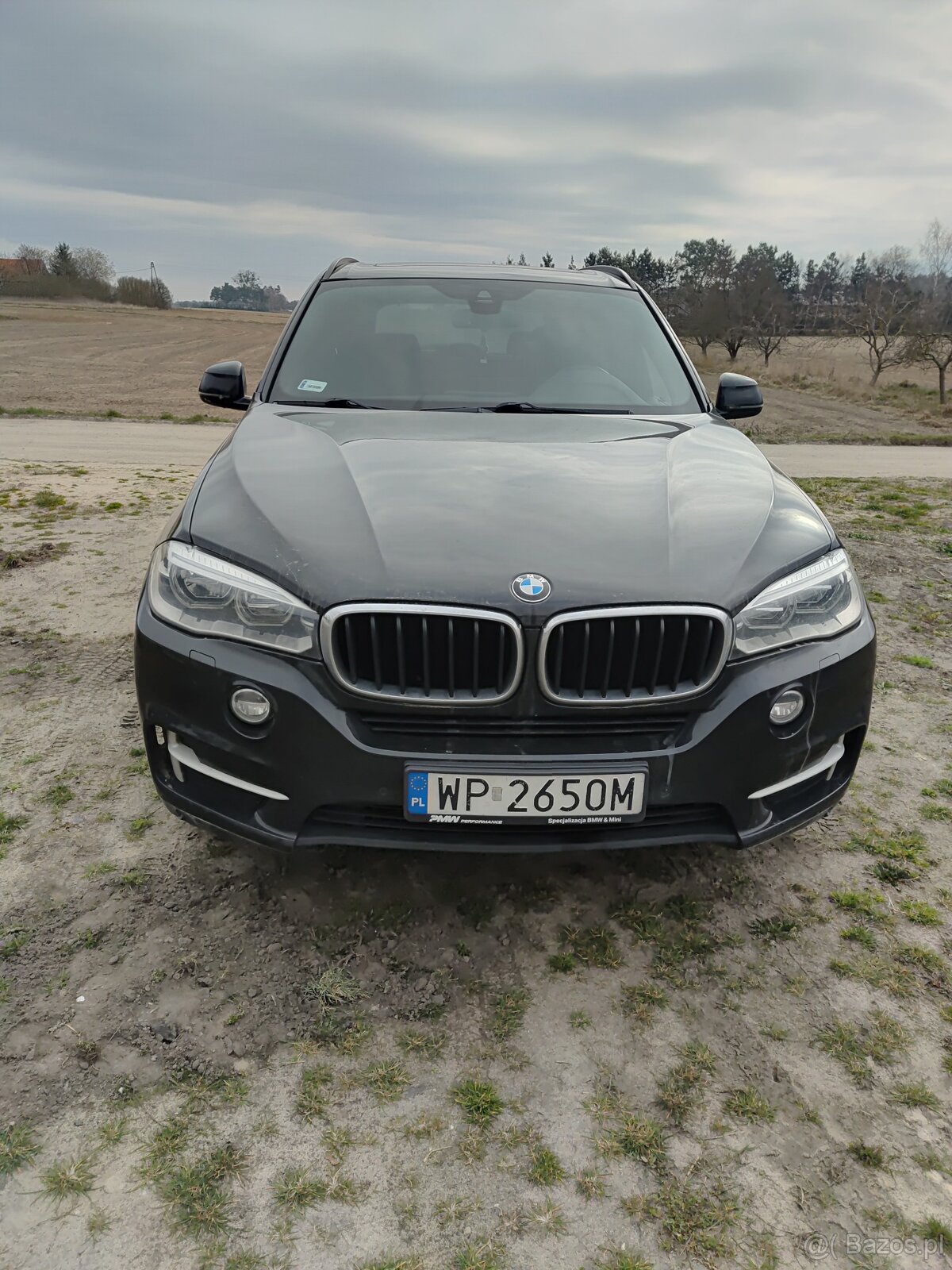 BMW X5 Diesel MR`14 E6 F15 xDrive30d Step