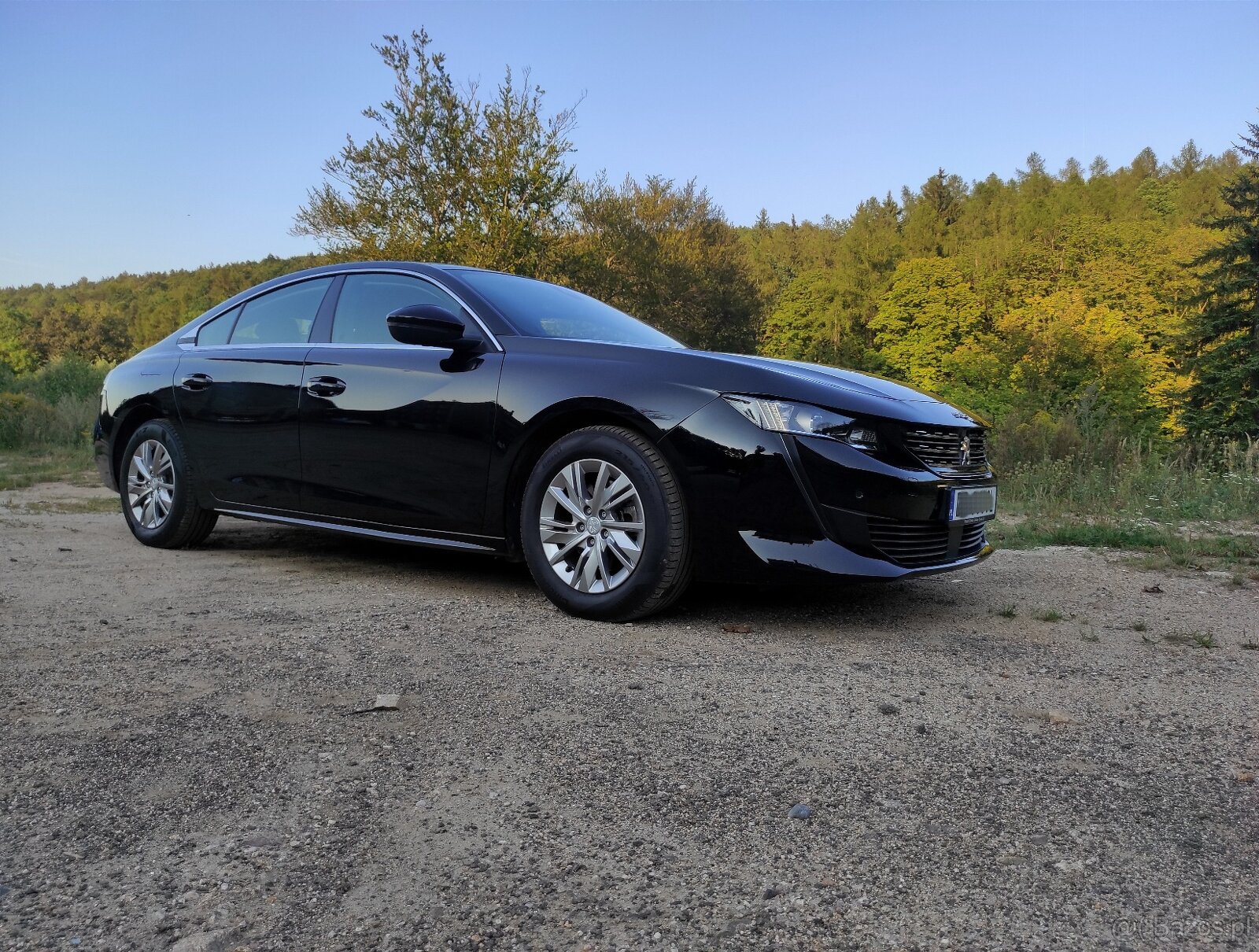 Peugeot 508, diesel, bardzo oszczędny, ogłoszenie prywatne