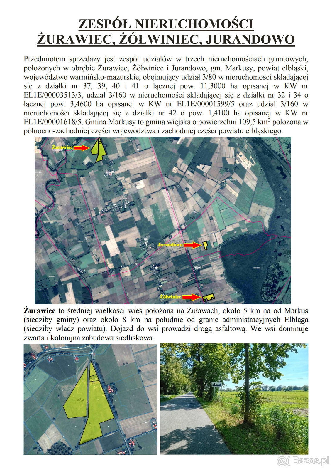 Syndyk sprzeda udziały w grunatach Żurawiec, Żółwiniec, Jura