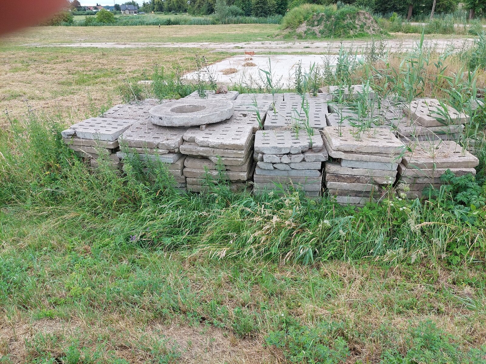płyty jomb
