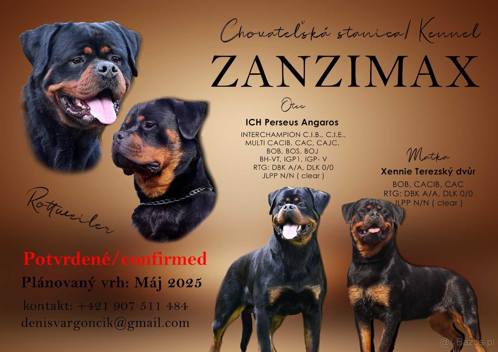 Rotvajler, Rottweiler s PP