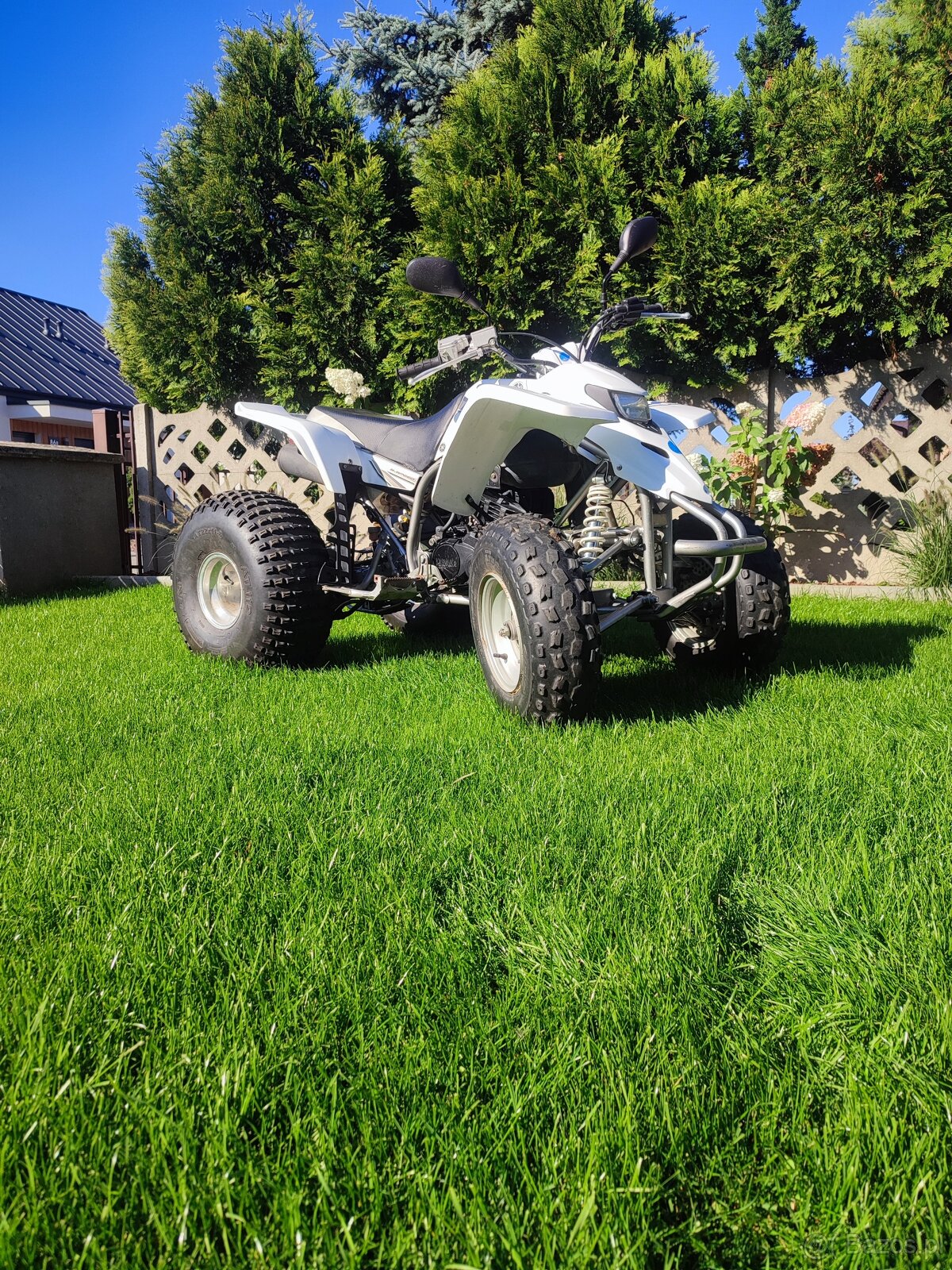 Yamaha Blaster 200 2T