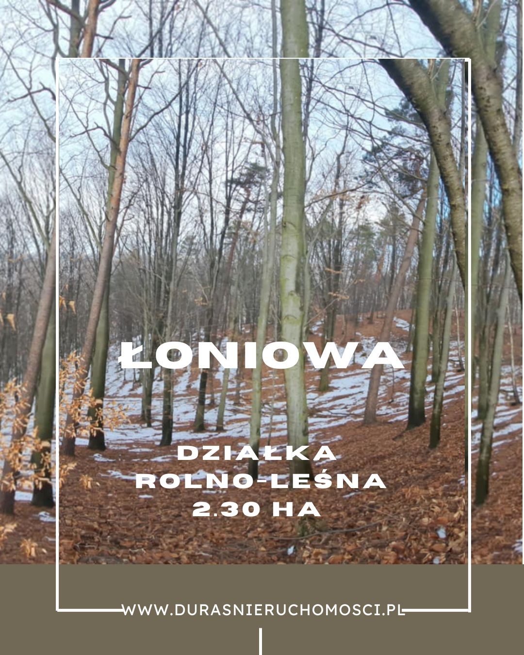 Łoniowa działka rolno-leśna 2.30 ha