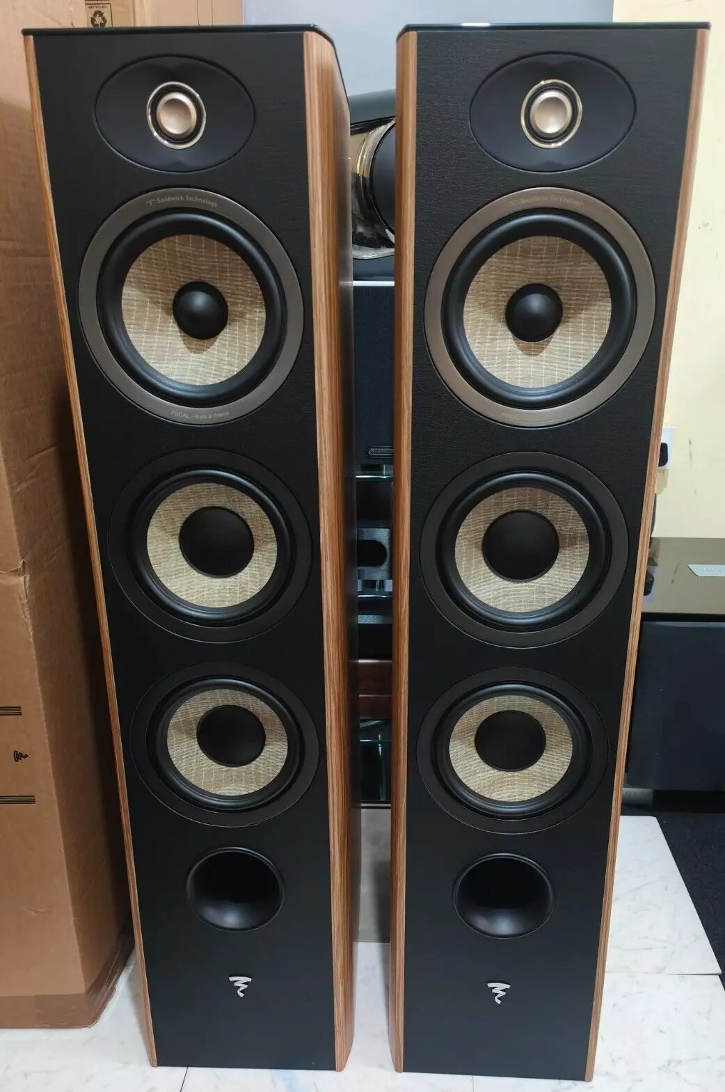 Focal Aria Evo X No 2 ---- Price : 1500 EUR
