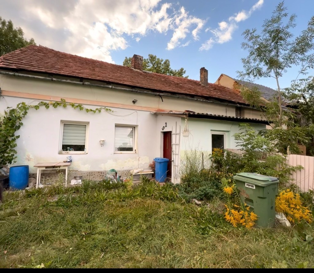 Dom z dużą działką przy polsko-czeskiej granicy