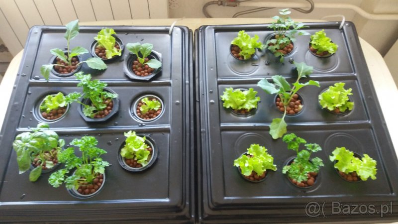 Zestaw do uprawy hydroponicznej