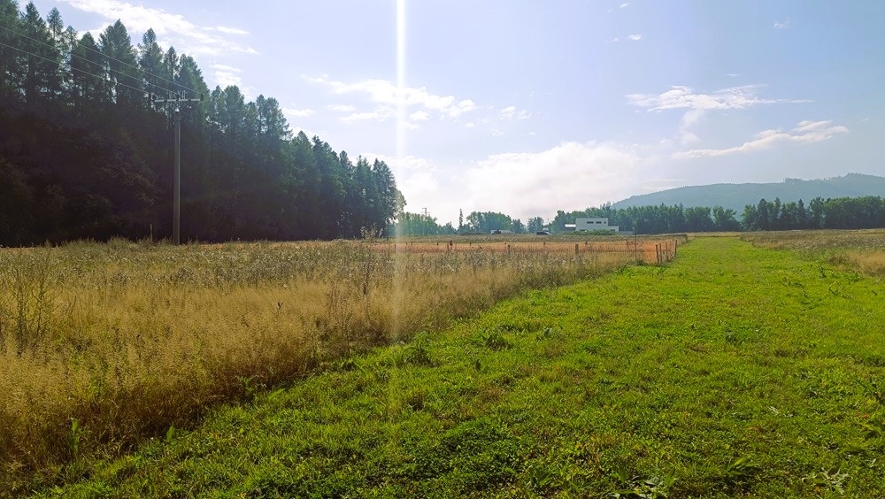 Działka w Námestowie dla Twojej firmy