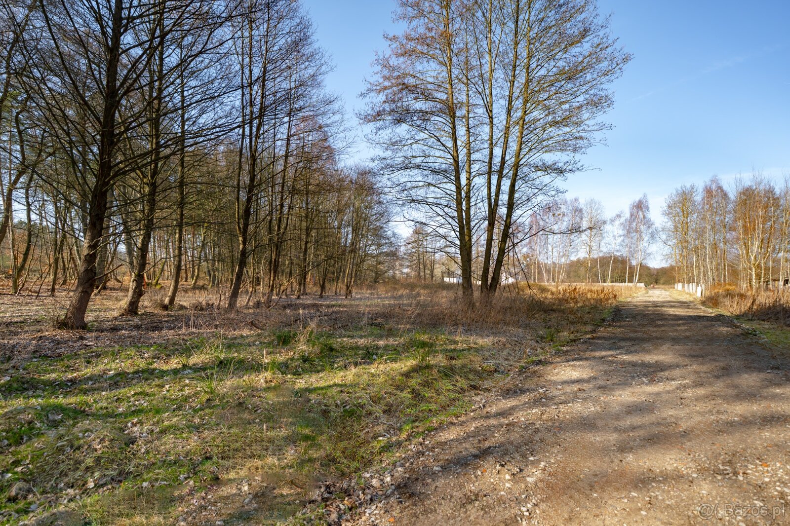 Działka pod lasem w warunkami budowlanymi 120/m2