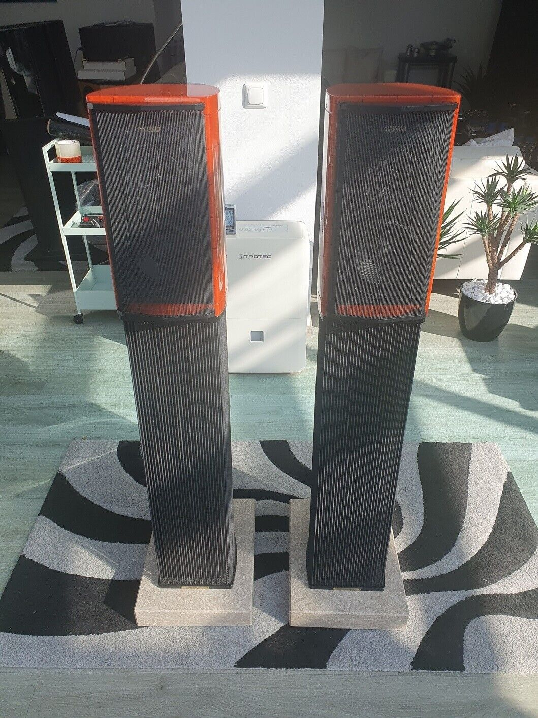 Sonus Faber Guarneri Memento ( Price : 2500 EUR )