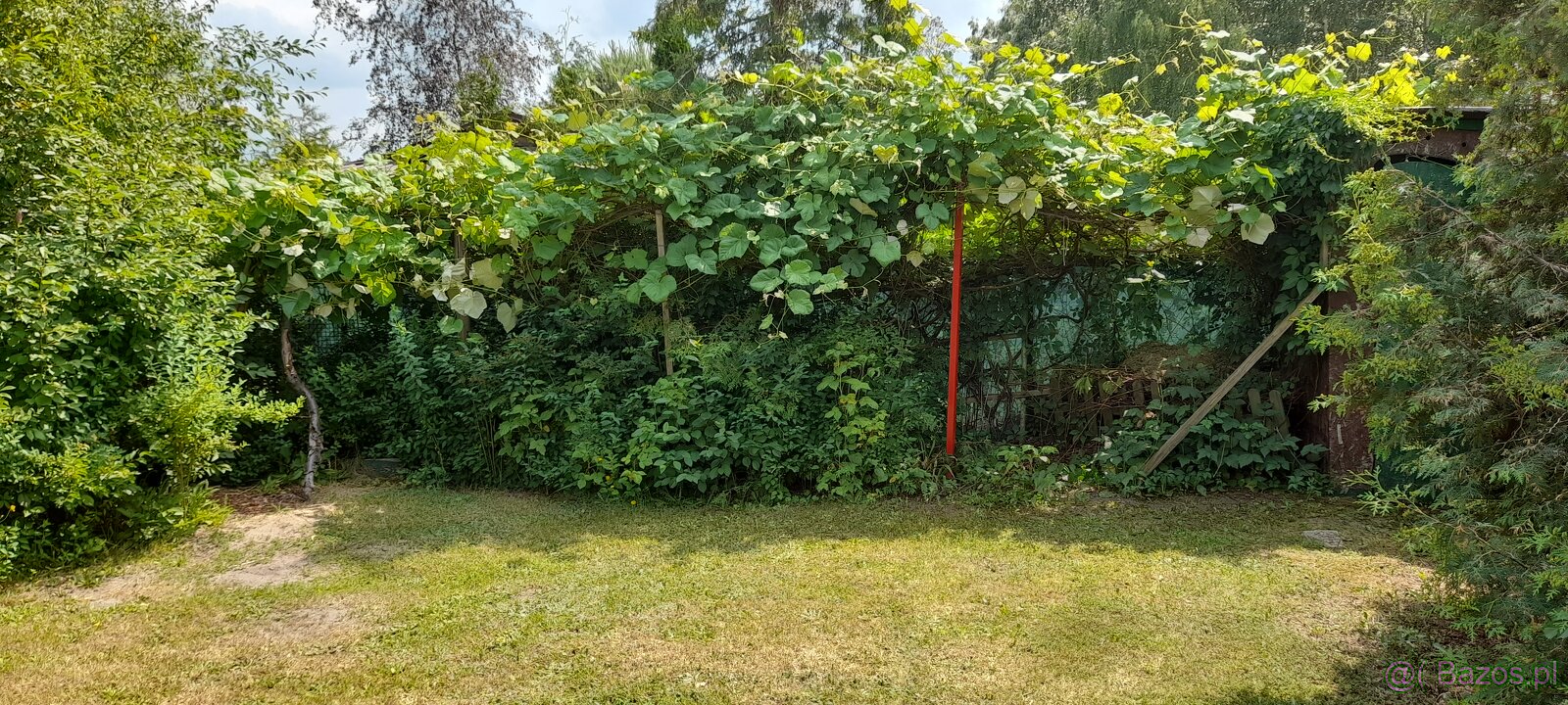 działka rekreacyjna