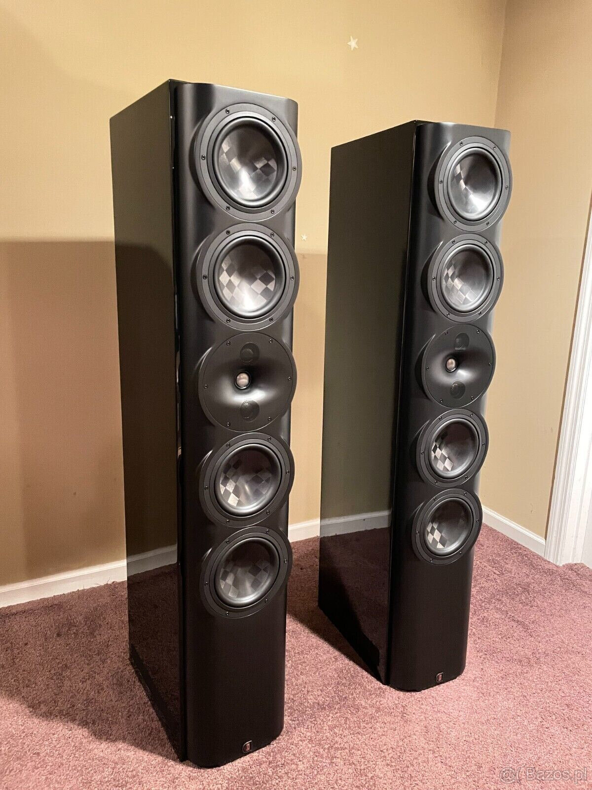 Perlisten S7T ( Price : 6000 EUR )