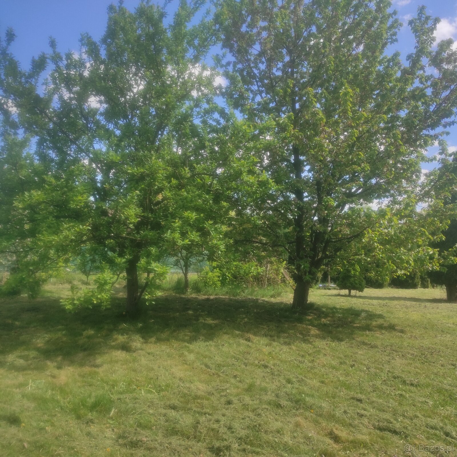 Działka rekreacyjna Rod Pszczółka Gliwice Łabędy