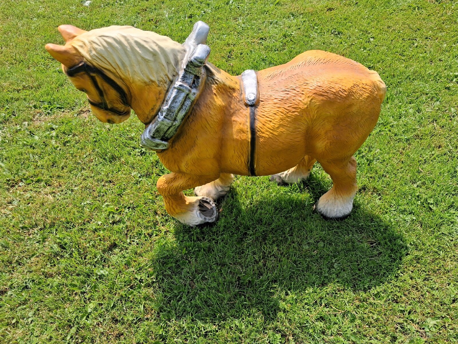 Sprzedam konika ogrodowego