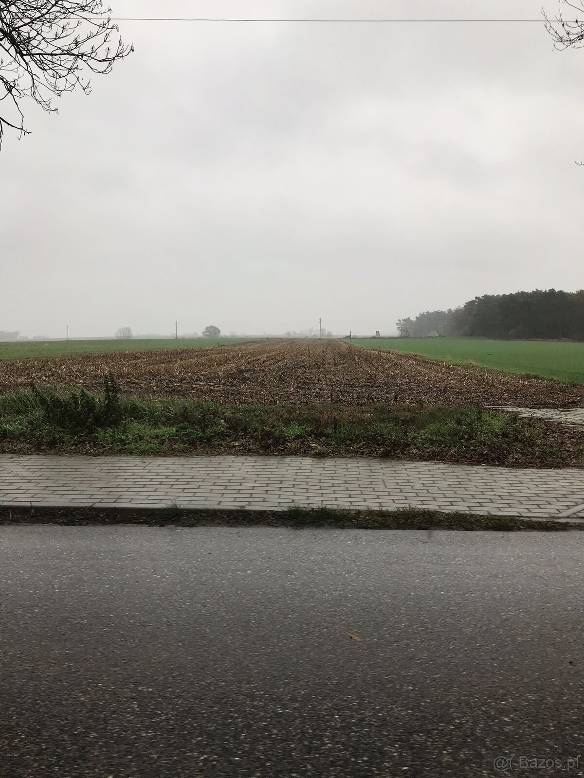 Działki budowlane o pow. 1068-1081 m2, gm. Sieroszewice