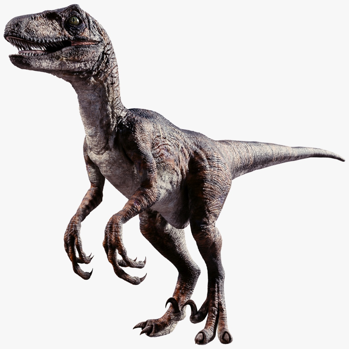 Sprzedam Dinozaura Raptor