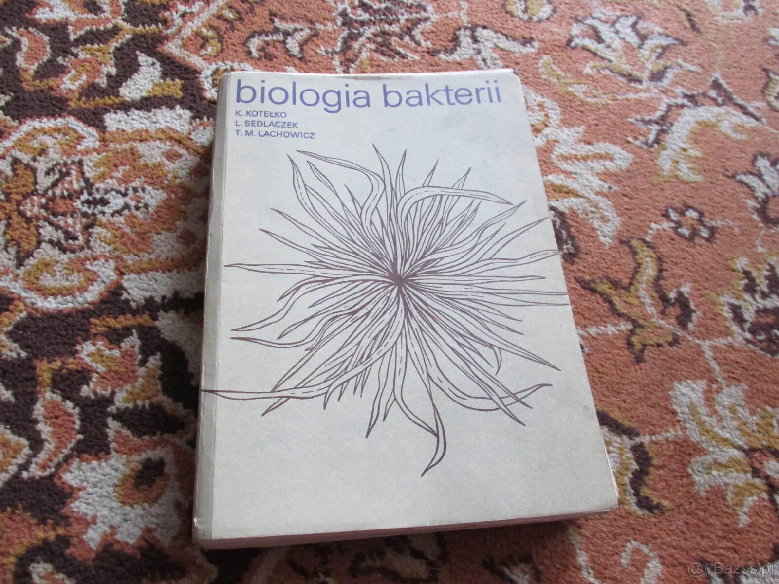 Biologia bakterii