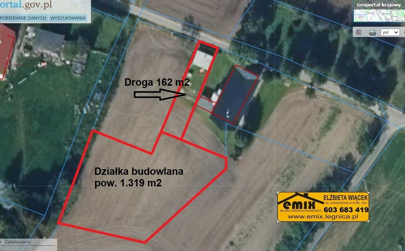 Działka budowlana 1.481 m.kw. w Pielgrzymce k. Złotoryi