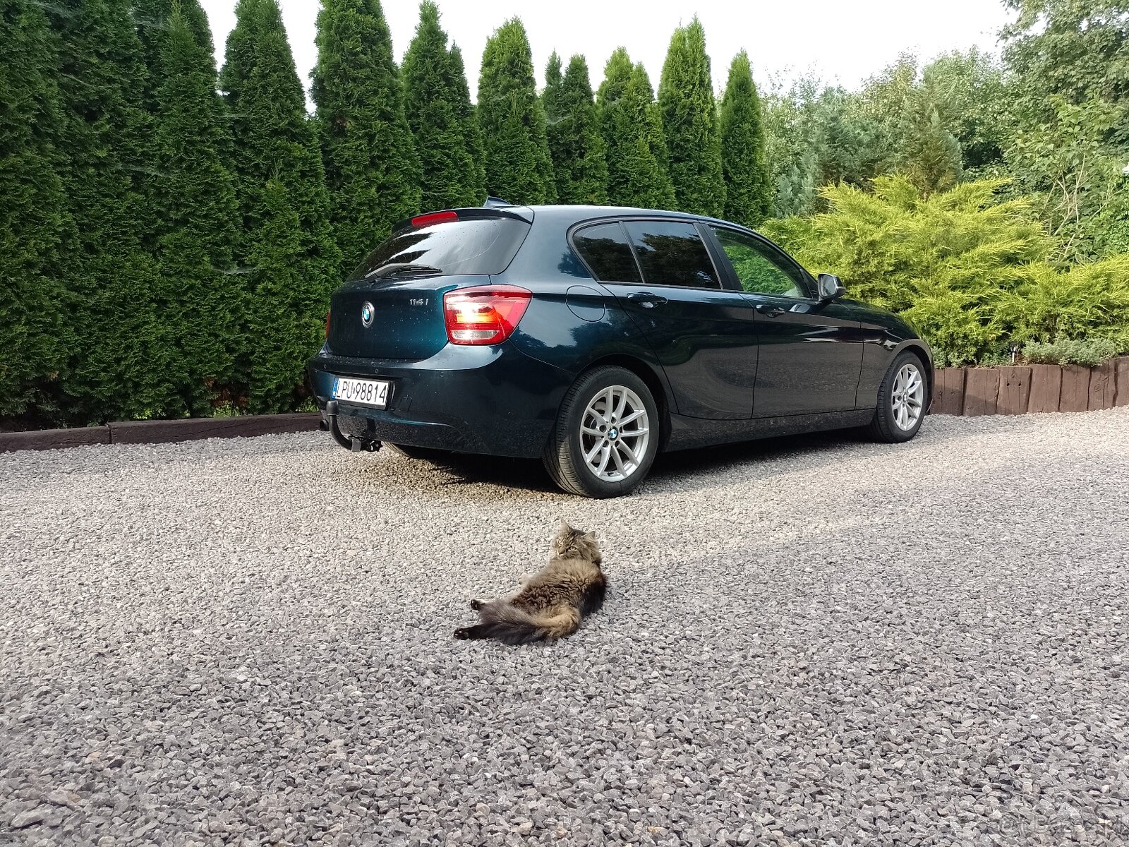 BMW 114i jasne skóry, ekonomiczny