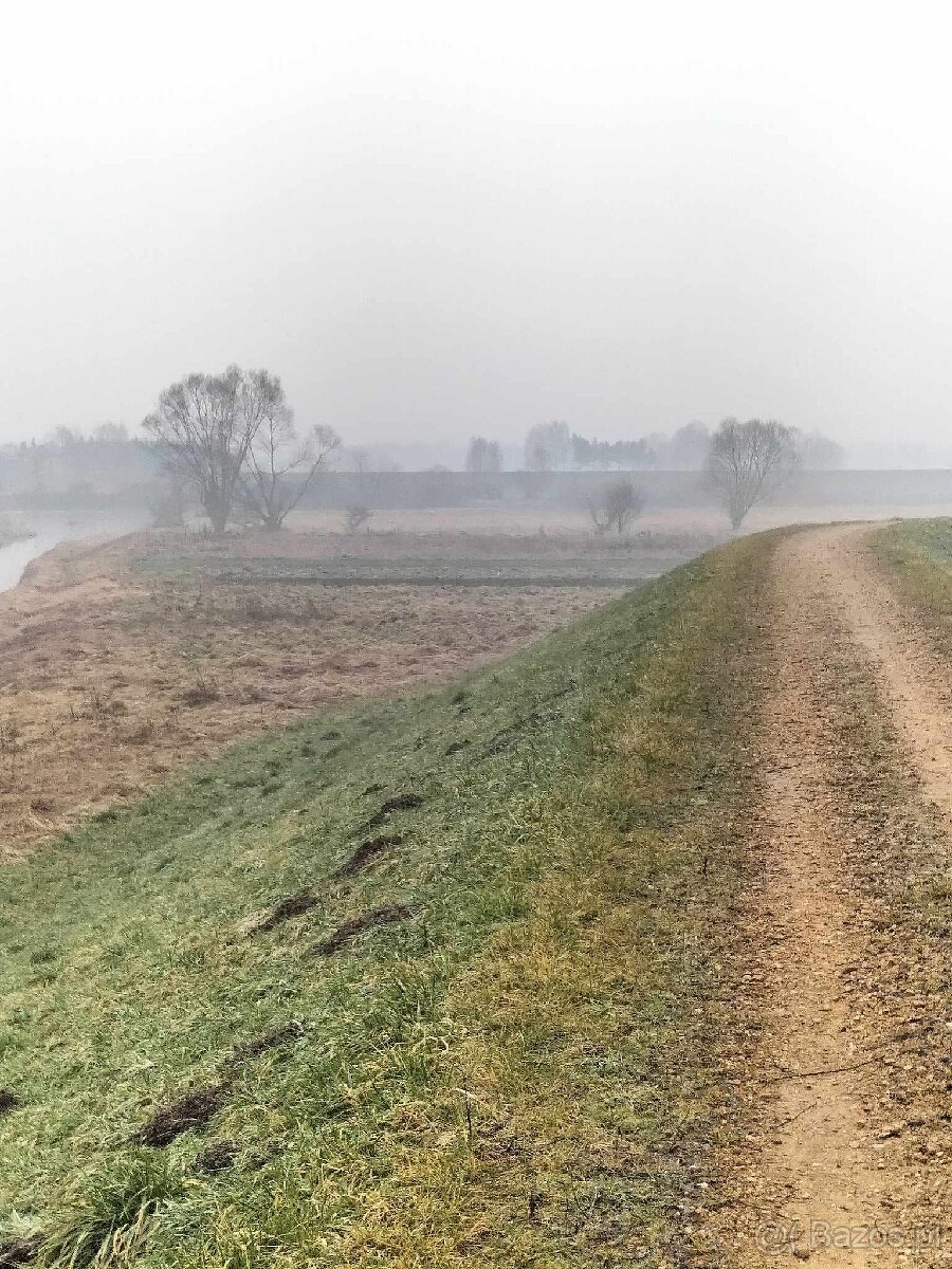 Cztery działki rolne