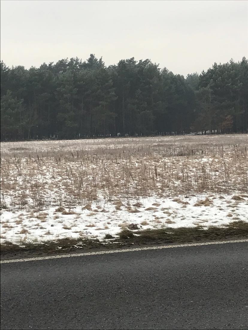 Działka rolna o powierzchni 9800m2, gm. Ceków Kol.