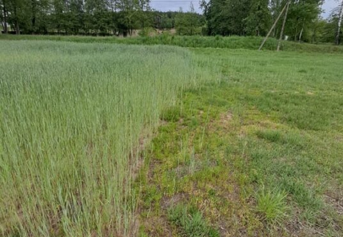 Działka budowlana o powierzchni 3261m2, Stobno