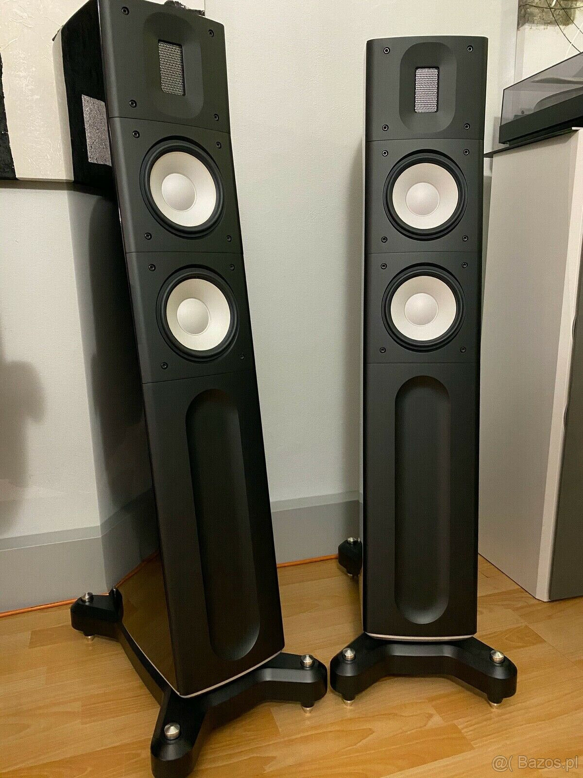RAIDHO ACOUSTICS C2.2  ( Price: 4500 EUR )