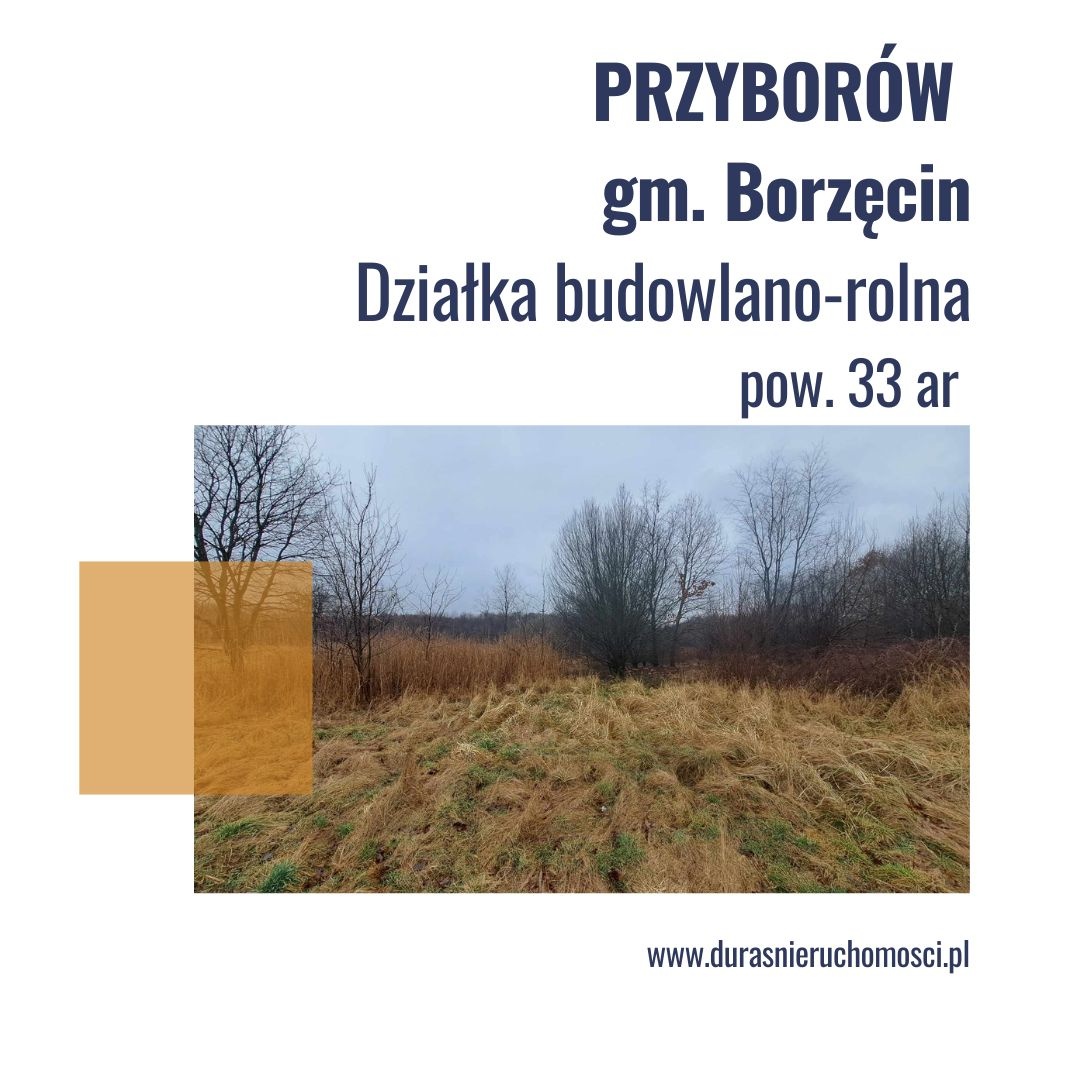 Przyborów gm. Borzęcin działka budowlano-rolna 33 ar
