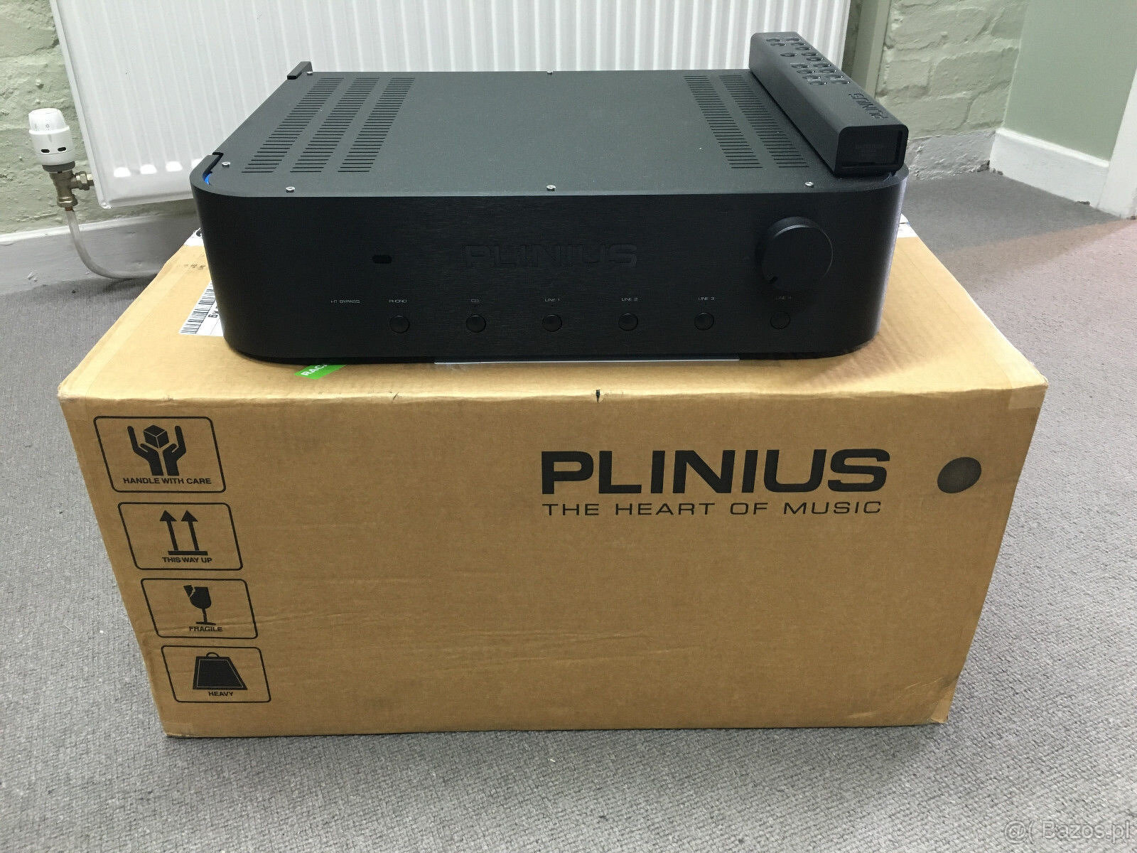 Plinius Hautonga - 1200 EURO