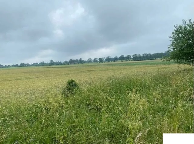 Działka budowlana 72-310 Sowno Zachodniopomorskie = 3096 m2