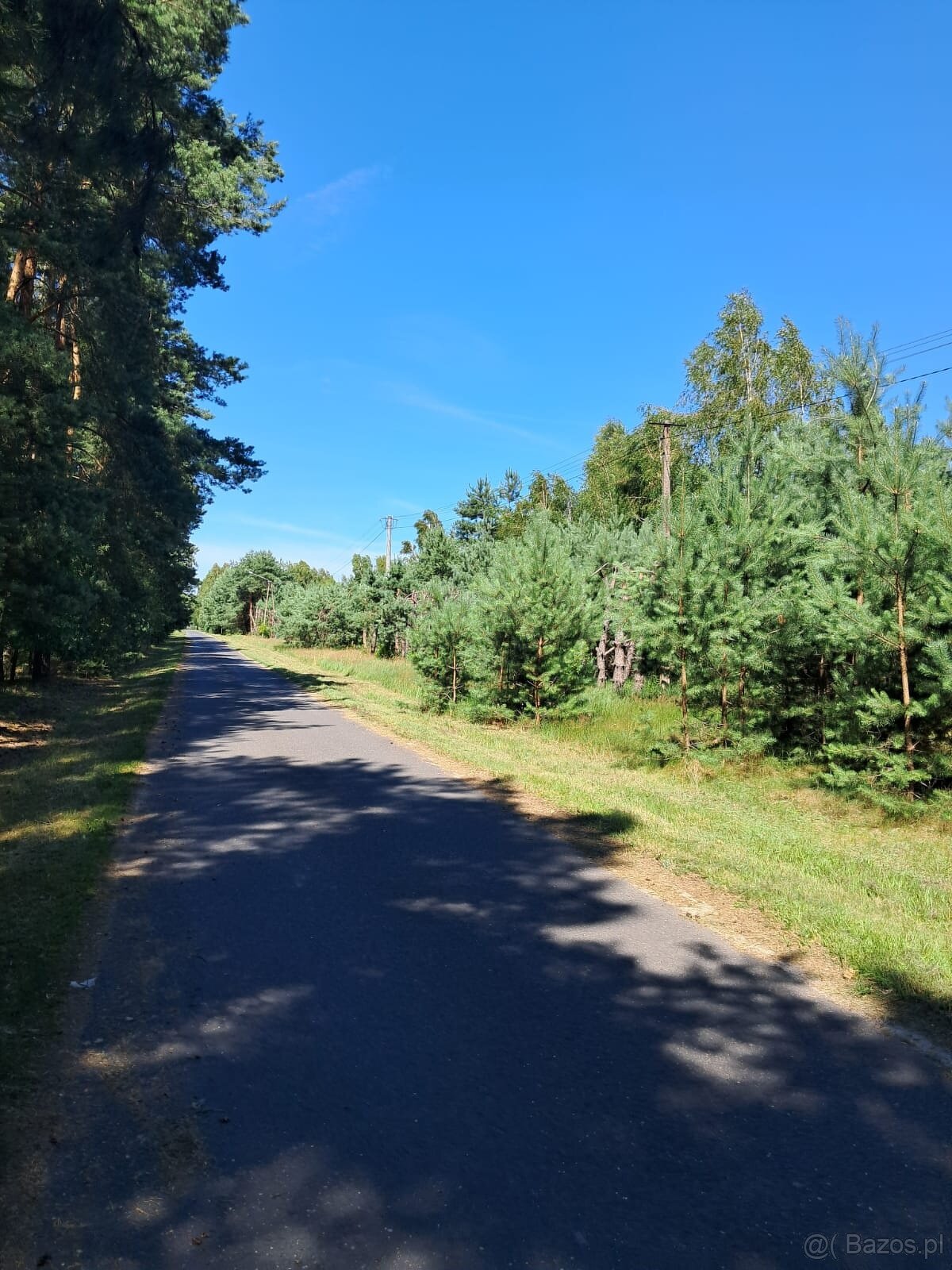 Działka budowlana o powierzchni 1686 m2, Prażuchy Nowe