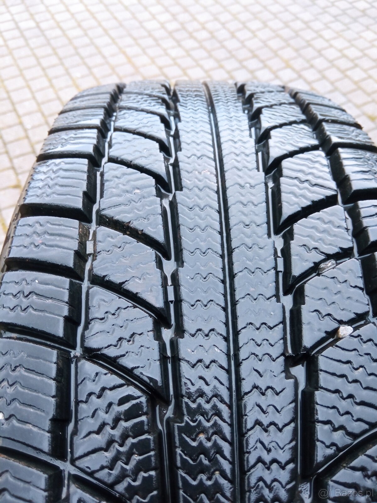opony TRIANGLE SNOW LION 185/65/14 r m+s całoroczne 86 t ro