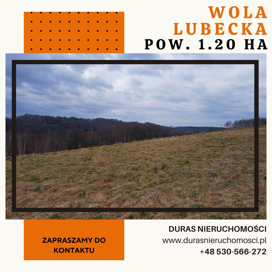 Wola Lubecka działka budowlano-rolna 1,20 ha , WZ