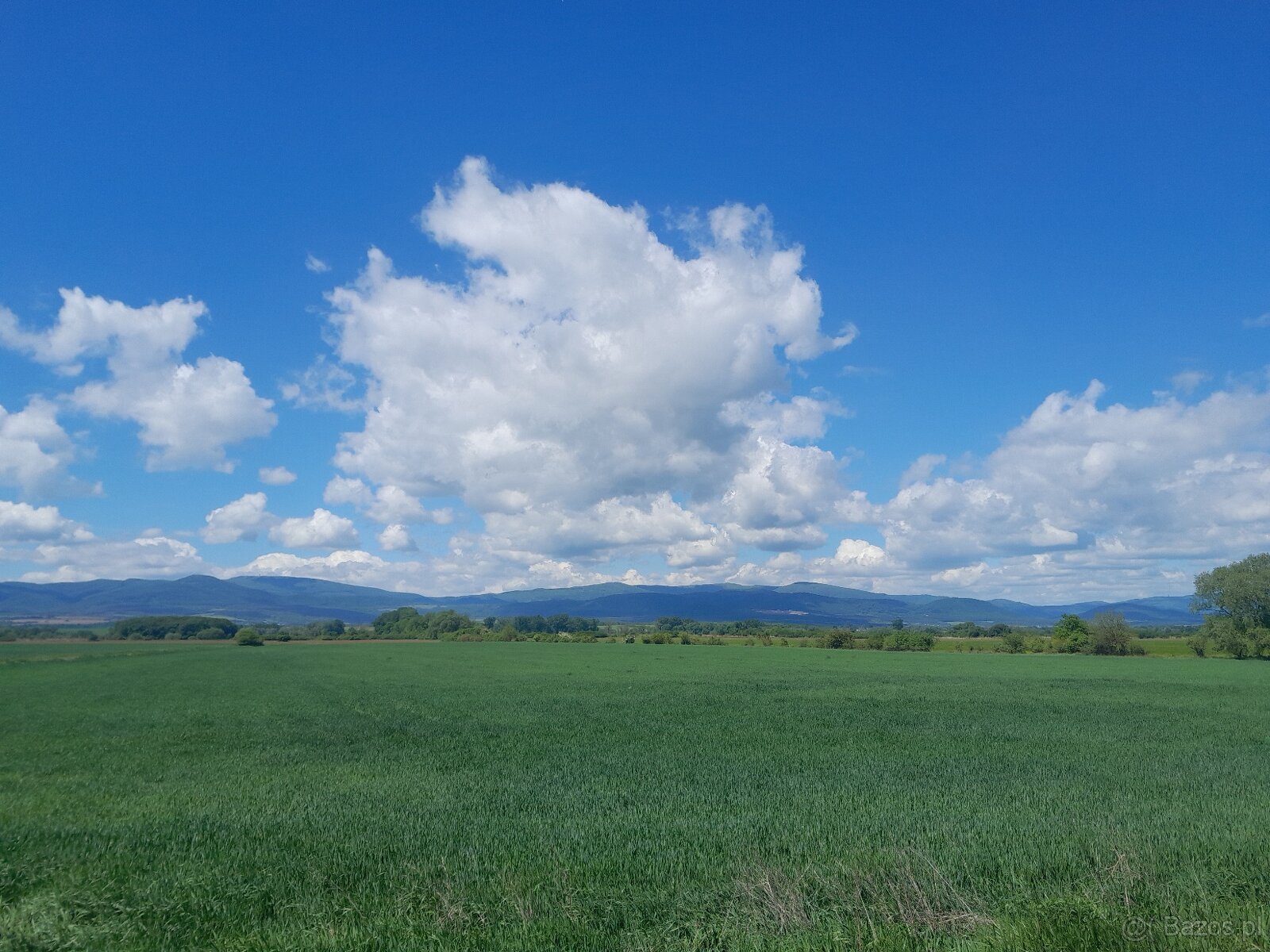 działki - 18,6 ha - Vranov n./Topľou