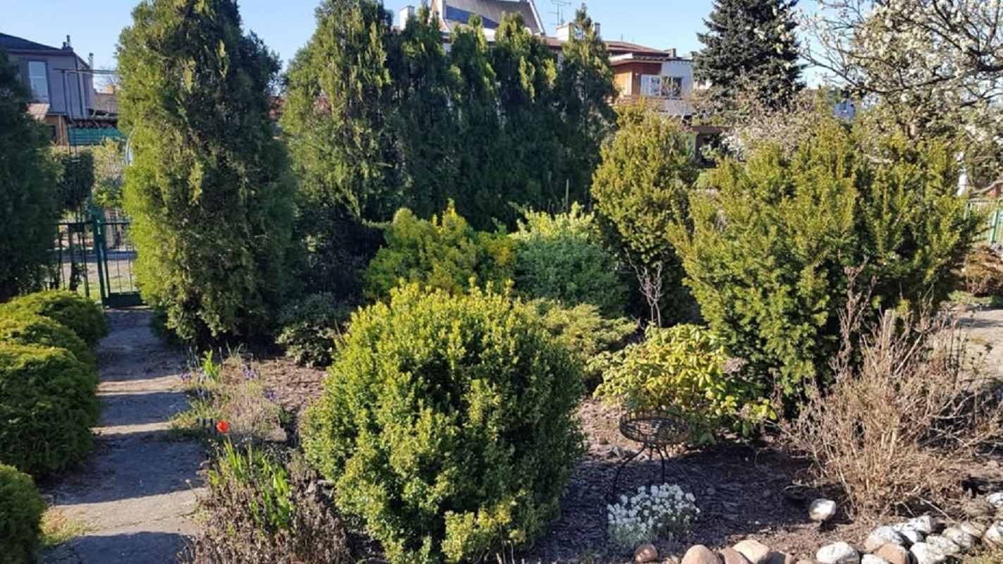 Działka rekreacyjna 242 m² z domkiem – Kalisz, ROD im. Adama