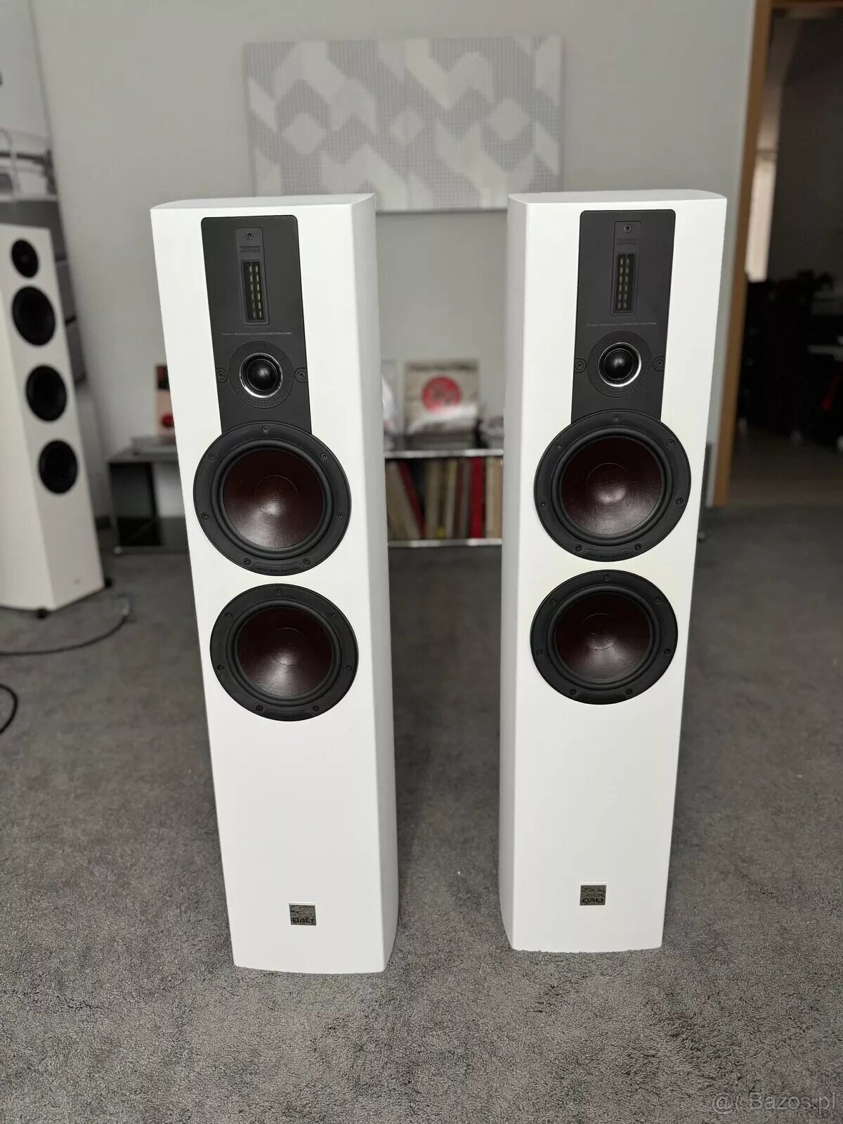Dali Epicon 6 ( Price : 2800 EUR )