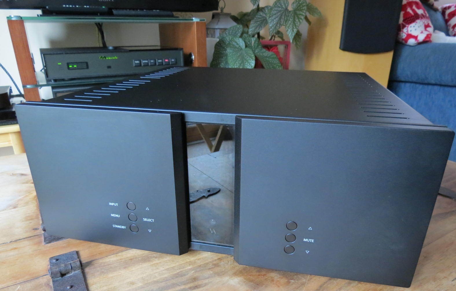 Vitus Audio RI-100 - 1950 EURO