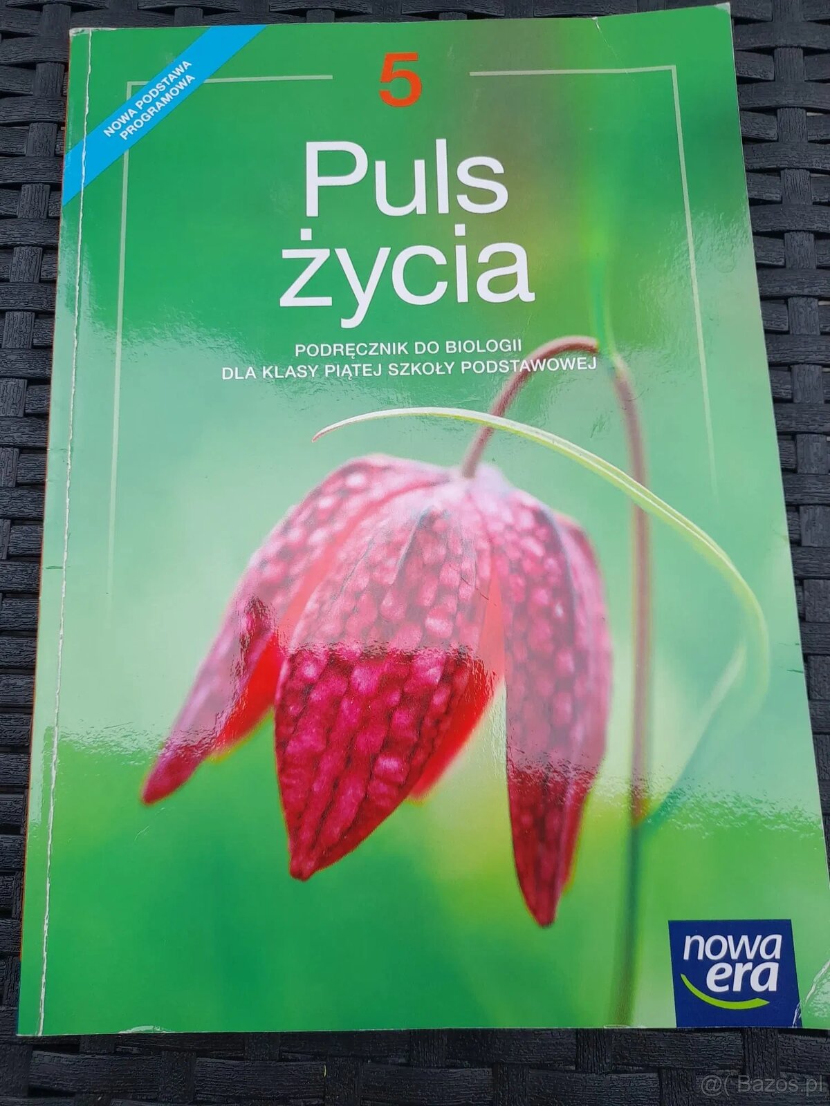 Biologia Puls życia klasa 5-8 TESTY