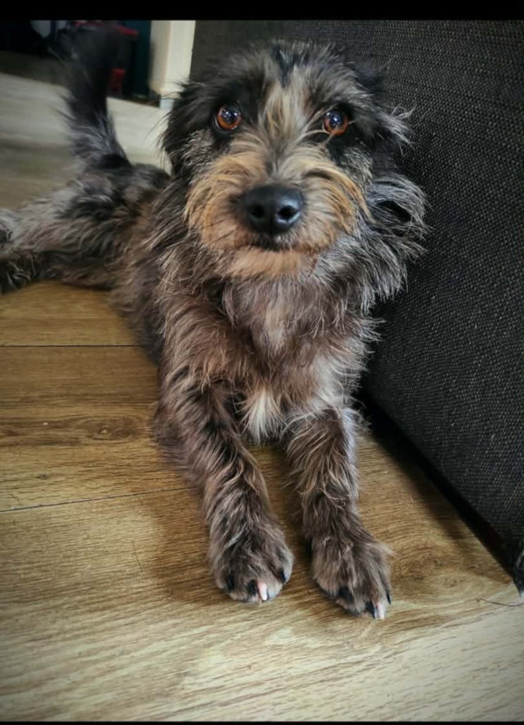 Siostry szukają domu.