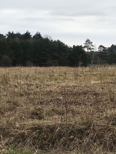 Działki budowlane o pow. 1177 m2 i 1255 m2, Osuchów