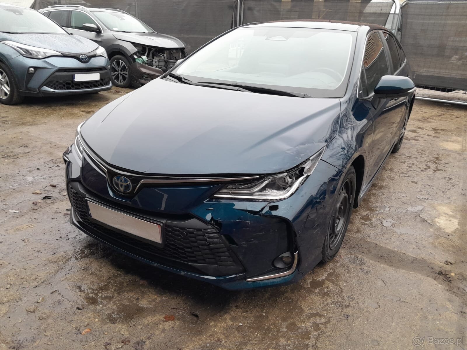 Toyota Corolla Cena Brutto