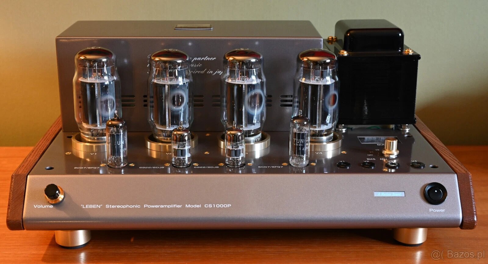 Leben CS-1000P - 2000 EURO